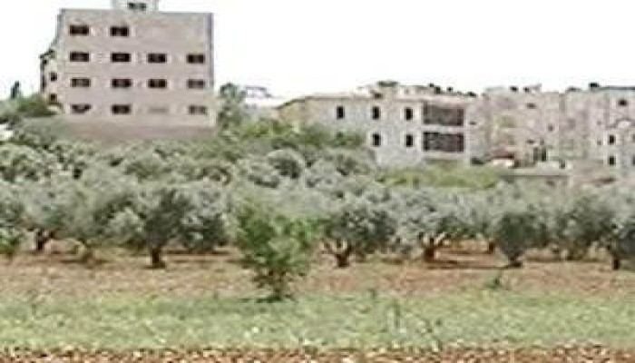 وزير العدل: سقوط عقوبة البناء علي الأراضي الزراعية فوراً ما دامت داخل كردون المدينة