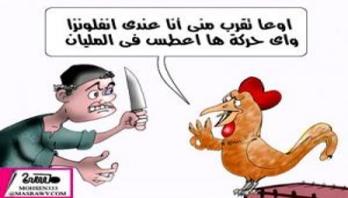 السجن 6 شهور لمن ينقل او يبيع دواجن حية في مصر اعتبارا من يوليو القادم