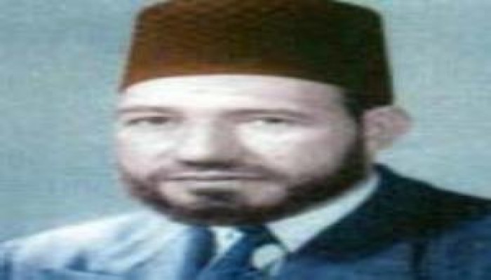 فكنت كالنخل يُرمى بالحجارة من قـوم فيرميهمو بالتمر ألـوانا : حديبى مدنى