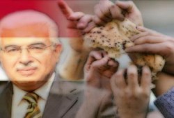 الظلم الاجتماعي والسكوت عليه سر انهيار المجتمعات ..د/ عبد الرحمن البر