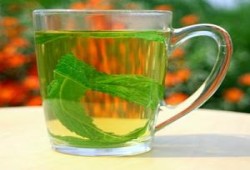 الشــاي الأخضــر قـــد يسهم في الوقاية من أمـراض العيـون الشـائعة