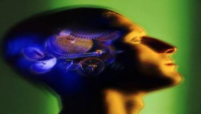 المواطنة والتحرش بمسلمي مصر!!أ/ محمد السروجي