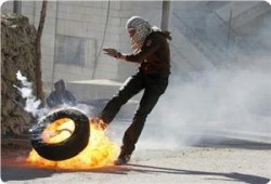 الخليل تنتفض في ذكرى مجزرة الحرم الإبراهيمي