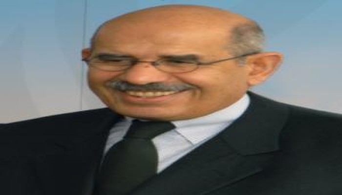 البرادعى يلقى البيان الأول للجمعية الوطنية للتغيير اليوم، وحسن نافعة منسقًا عامًا لها