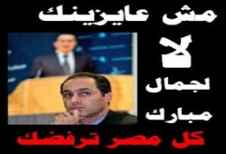 مصر وحراك سياسي جديد ..أ / محمد السروجي