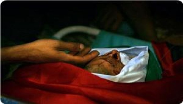 أول شهيد في الانتفاضة الجديدة " محمد قادوس "