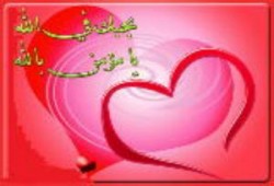 فردوس الحب فى الله .. أشرف الفار