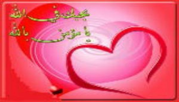 فردوس الحب فى الله .. أشرف الفار