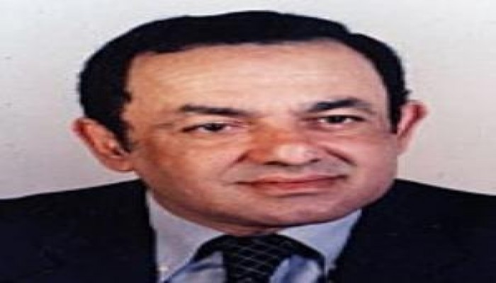 الشوبكي : مبارك لن يترشح للانتخابات المقبلة والتوريث انتهى ومصر مقبله على ثورة برتقالية