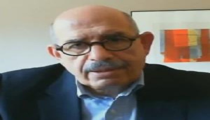 البرادعي في "بيانه الأول" يطالب المصريين بسرعة الإنضمام إليه للضغط على النظام