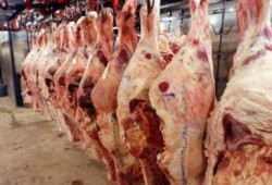 استيراد لحوم اثيوبية بأسعار تفضيلية تلائم المستهلك