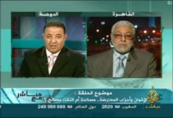 الأمين العام على الجزيرة مباشر : ننسق مع البرادعي لوجود مبادئ مشتركة بيننا