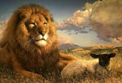 حبوب منع الحمل لأسود مصر بعد السماح بإجهاض النساء