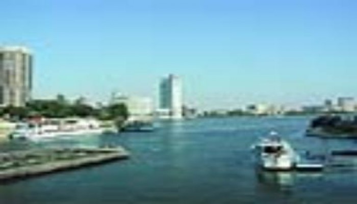 تقرير مروع عن التدمير المنهجي لصحة المصريين .. ‏400‏ ألف حالة سرطان كبد سنوياً فى مصر