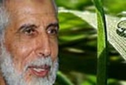 د. محمود عزت نائب فضيلة المرشد العام في حوار مطول مع جريدة المصرى اليوم