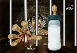 السور الفولاذى أولاً..أ/ فهمي هويدي