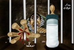 السور الفولاذى أولاً..أ/ فهمي هويدي
