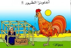 فيروس أنفلونزا الطيور يتوطن فى خمس دول بينها مصر