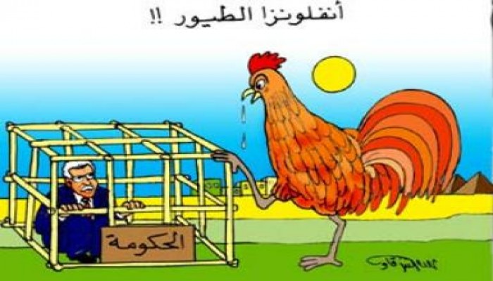 فيروس أنفلونزا الطيور يتوطن فى خمس دول بينها مصر