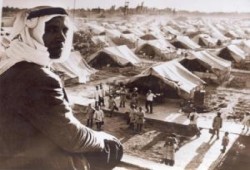 فلسطين والنكبة الثانية!!..أ/ محمد السروجي