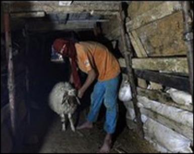 الشرطة المصرية تفتل 4فلسطينيين خنقاً داخل نفق