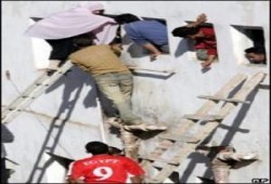 دعوة لإلغاء الانتخابات .. أ/ فهمي هويدي