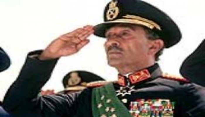 استيراد حاكم ..فراج إسماعيل