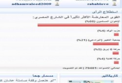 الإخوان فى المركز الأول باستطلاع رأى حول أكثر الكيانات تأثيرا فى الشارع (بادروا بالتصويت)