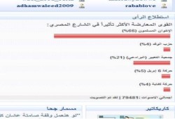 الإخوان فى المركز الأول باستطلاع رأى حول أكثر الكيانات تأثيرا فى الشارع (بادروا بالتصويت)