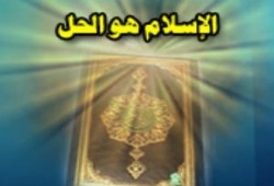 الإسلام هو الحل.. رؤية قانونية..د / أحمد أبو بركة