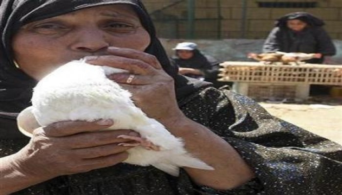 إنجازات الوطني الفاسد تتحدث عن نفسها: مصر الأولى عالميا فى إصابات ووفيات أنفلونزا الطيور