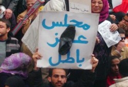 الفيل المصري بدأ التحرك