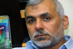 اليوم .. نظر استئناف د. محيي حامد وإخوانه