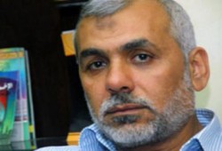 اليوم .. نظر استئناف د. محيي حامد وإخوانه