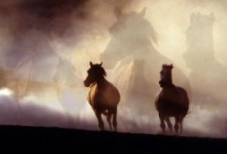 مصر وتونس.. الملائكة لم تضع أسلحتها..د / محسن صالح