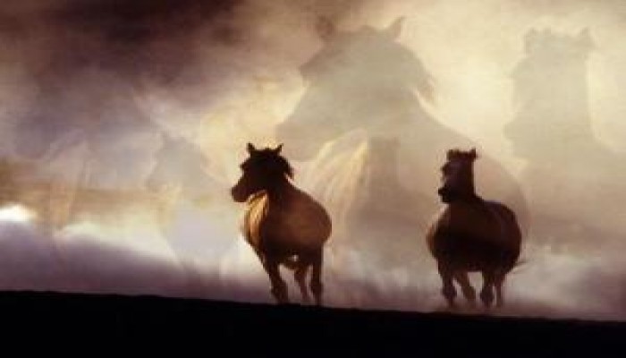 مصر وتونس.. الملائكة لم تضع أسلحتها..د / محسن صالح