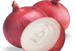 البصل يكافح سرطان الكبد والقولون