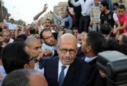 الإخوان يستنكرون الاعتداء على د/محمد البرادعي ويطالبون بتحقيق فوري