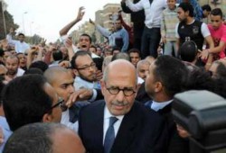 الإخوان يستنكرون الاعتداء على د/محمد البرادعي ويطالبون بتحقيق فوري