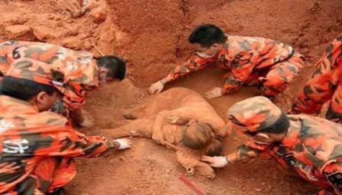 صورة تهز المشاعر: أم تحتضن ابنها تحت انقاض زلزال اليابان