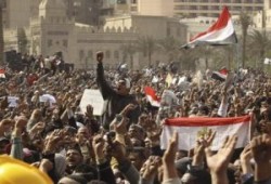 د/ البر يكتب الثورة والأزهر والإمام الأكبر