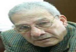 الثورة الناقصة  .. سلامه احمد سلامه