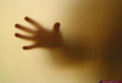 هانى صلاح الدين يكتب: إسلام بحيرى والصعود على أكتاف الإخوان