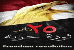 الثورة المصرية .. مخاوف وضمانات ..محمد السروجي