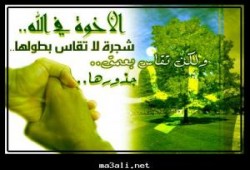 أخطاء مسئولى الإخوان .. حازم سعيد