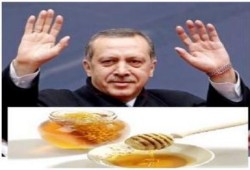 عسل الكستناء ..سر حيوية ونشاط أردوغان