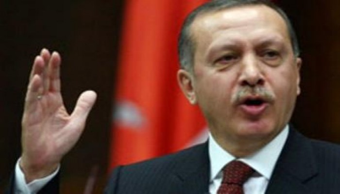 أردوغان يزور مصر عقب تشكيل الحكومة الجديدة في تركيا