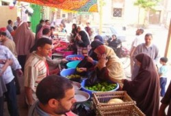 إخوان الدقهلية يقيمون سوقا خيريا لمحاربة الغلاء (مصور)