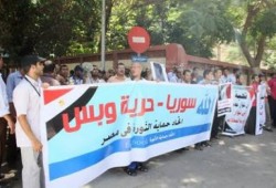 اتحاد حماة الثورة المصرية يتظاهر تضامناً مع الشعب السوري (ملف مصور)