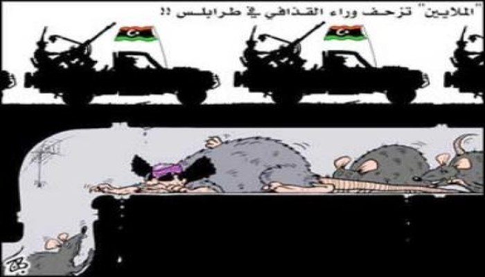 مصادر ترجح هروب القذافي الى الجزائر : فى 6 سيارات مصفحه  فى حماية الطوارق